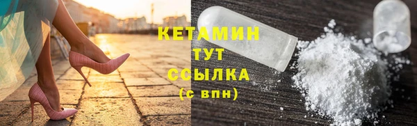 сатива Белокуриха
