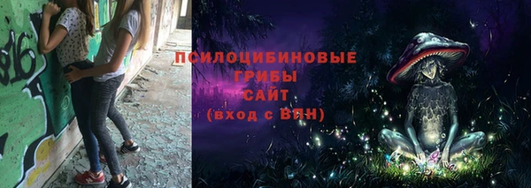гашик Беломорск