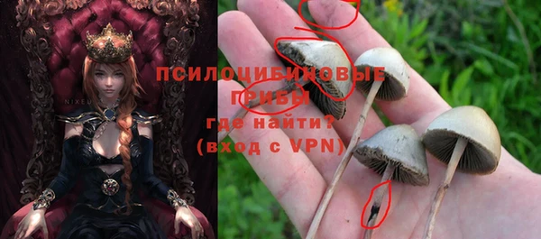 гашик Беломорск