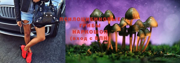 сатива Белокуриха